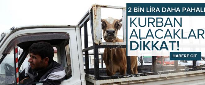 Kurban alacaklar dikkat! 2 bin lira daha pahalı...