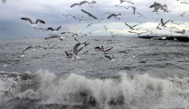 Marmaradaki fırtına ve şiddetli yağışın, &quot;küresel iklim değişikliğinin sonucu&quot; değerlendirmesi