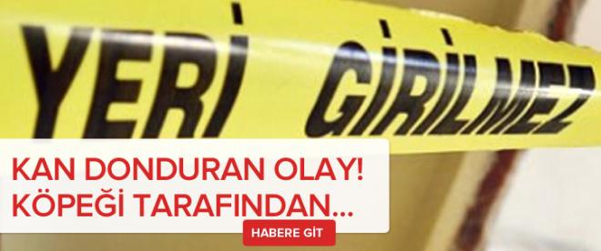 İzmirde kan donduran olay: Köpeği tarafından...