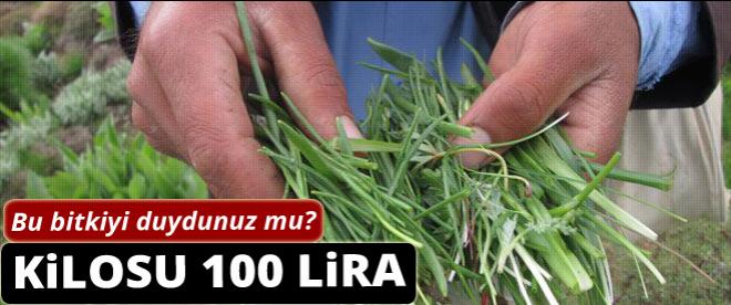 Kilosu 100 lira