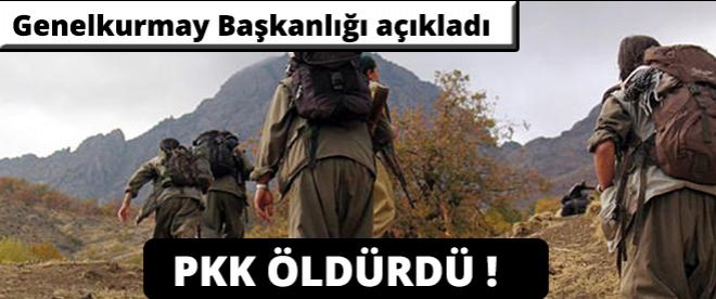 Genelkurmay Başkanlığından açıklama:PKK öldürdü!