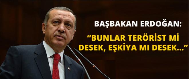 Başbakan Erdoğan: Bunlar terörist mi desek, eşkiya mı...