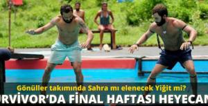 Survivorda final haftası heyecanı!