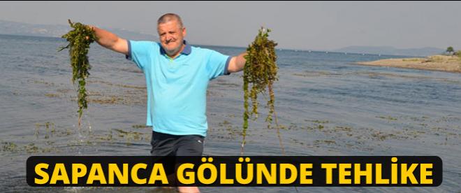 Sapanca Gölünde tehlike