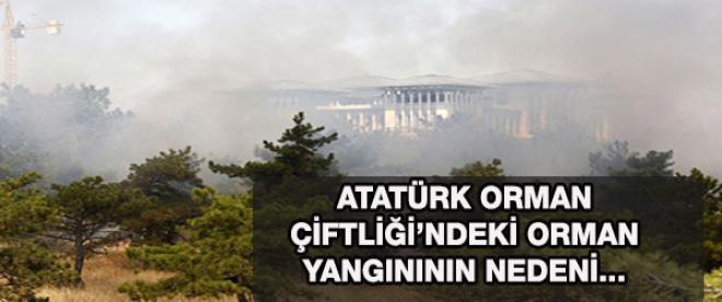 Atatürk Orman Çiftliğindeki yangın nasıl meydana geldi?