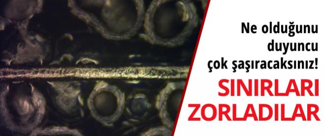 Sınırları zorladılar