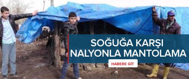 Muşta soğuğa karşı nalyonla mantolama