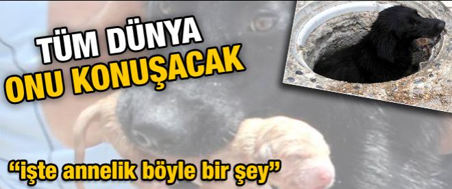 Tüm dünya onu konuşacak!