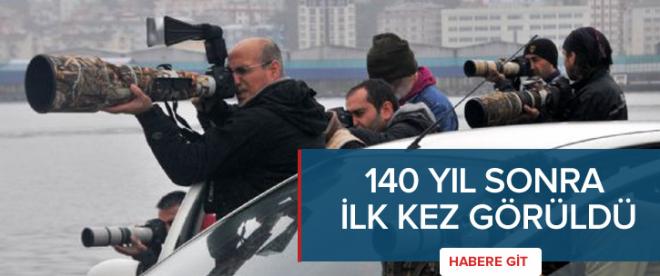 Türkiyede 140 yıl sonra ilk kez görüldü