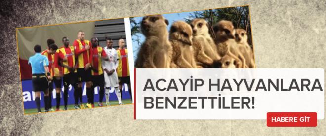 Hayvanlar aleminden ilginç benzetmeler