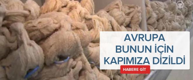 Avrupa bunun için kapımıza dizildi