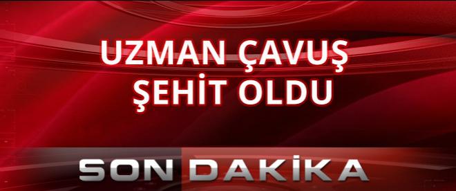 O uzman çavuş şehit oldu