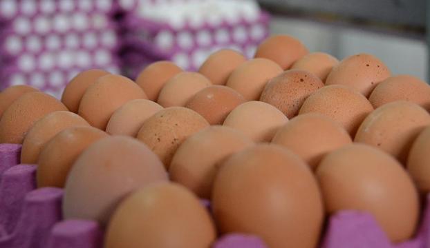 Böcek ilaçlı yumurtalara Macaristanda da rastlandı