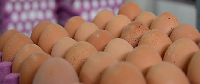 Böcek ilaçlı yumurtalara Macaristanda da rastlandı