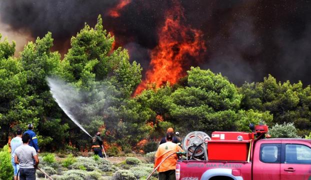 Yunanistanda orman yangınları 77 can aldı